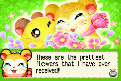 screenshots/Game Boy Advance/Hamtaro - Rainbow Rescue/Hamtaro - Rainbow Rescue (Eng) 058.png